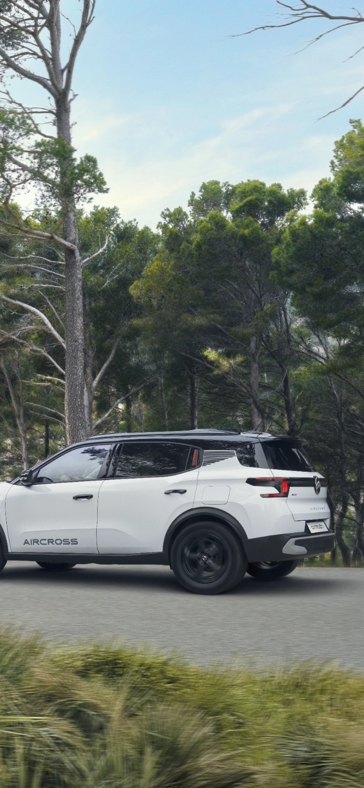 Vue de conduite frontale du SUV Citroën C3 Aircross sur un sentier forestier, mettant en valeur des performances robustes pour une mobilité confiante, polyvalente et abordable.